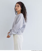 限時優惠★內刷毛插肩袖短版大學T