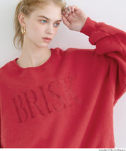 重磅內刷毛復古加工LOGO大學T