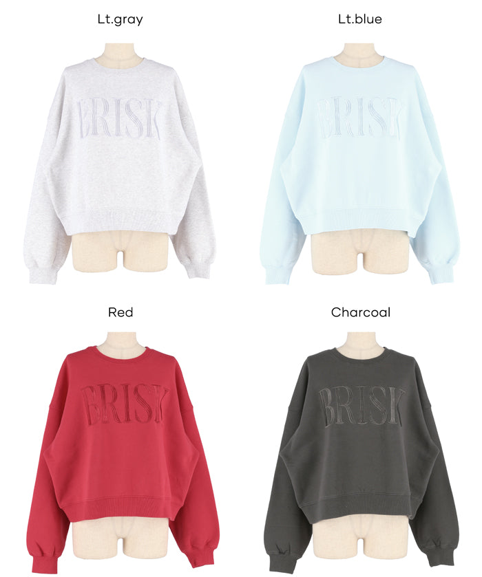 重磅內刷毛復古加工LOGO大學T