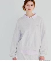 miniLOGO短版大學T